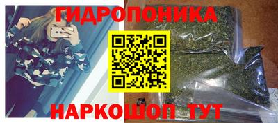 крисы Комсомольск-на-Амуре