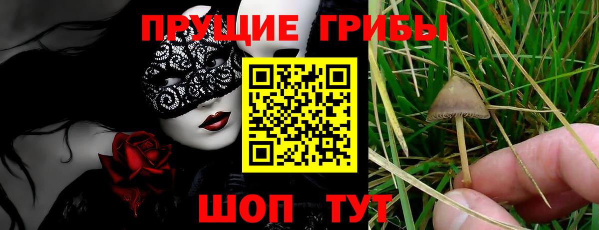 Псилоцибиновые грибы GOLDEN TEACHER Йошкар-Ола