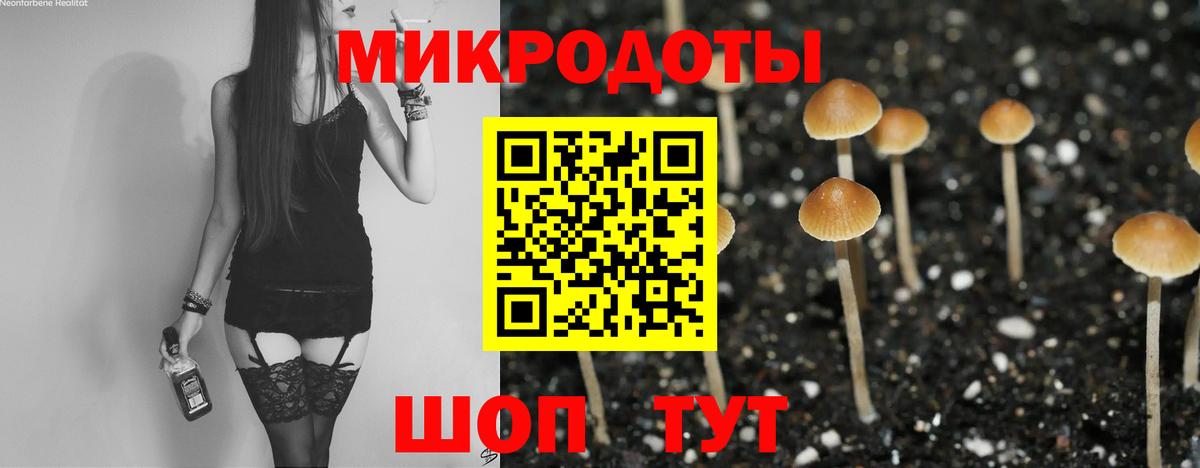 Галлюциногенные грибы GOLDEN TEACHER  Вход с VPN  Галлюциногенные грибы ЛСД  Йошкар-Ола 